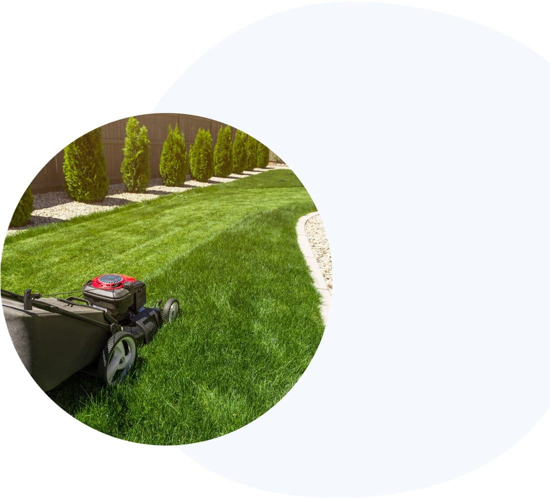 lawncarewebdesign seattle landscaping web design
