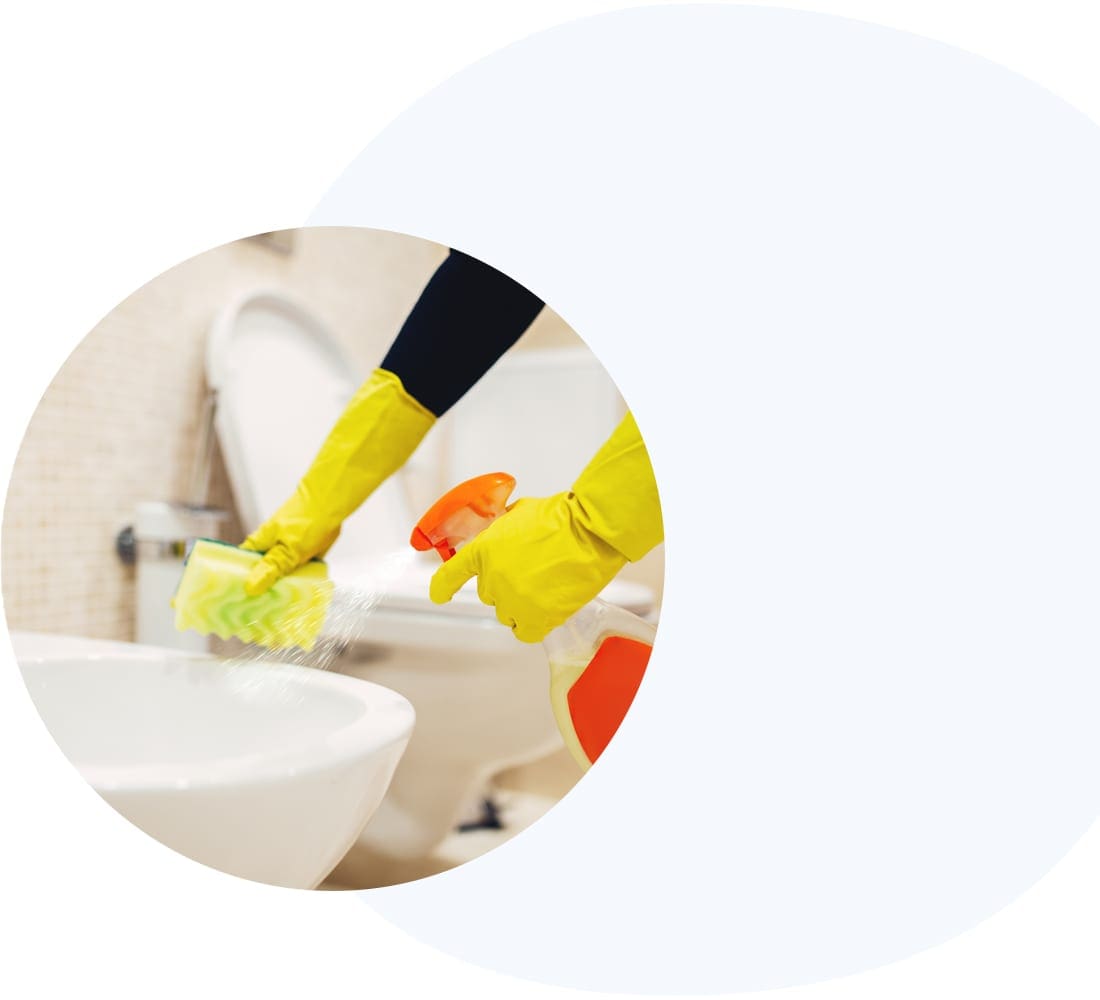 maidwebdesign seattle maid web design