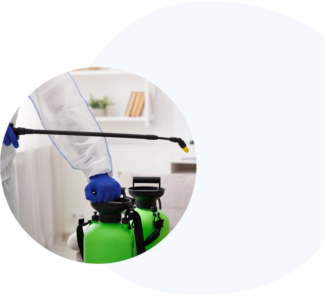 pestcontrolwebdesign seattle pest control web design